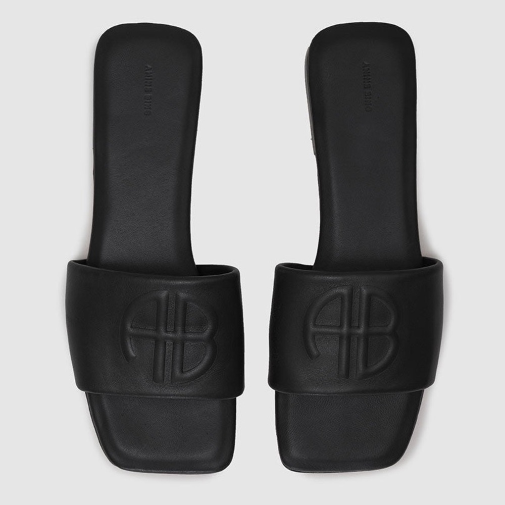 NWOT Anine Bing Ria Slides With Dust Bag